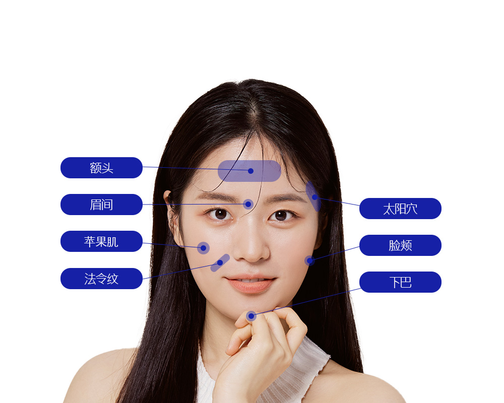 모델